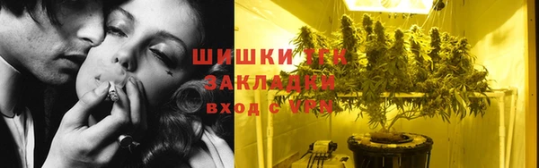 ПСИЛОЦИБИНОВЫЕ ГРИБЫ Елизово