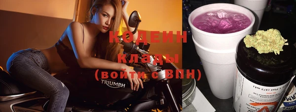 ПСИЛОЦИБИНОВЫЕ ГРИБЫ Елизово