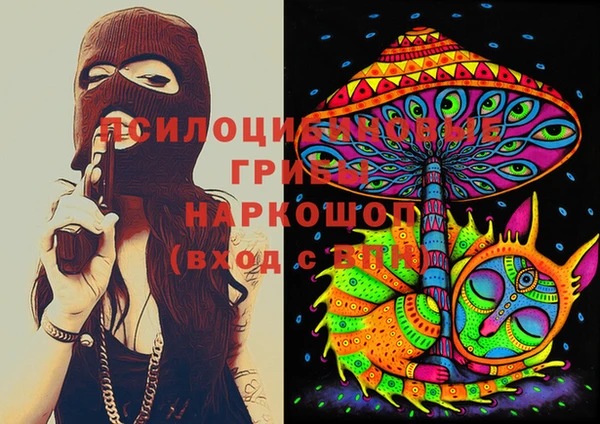 ПСИЛОЦИБИНОВЫЕ ГРИБЫ Елизово