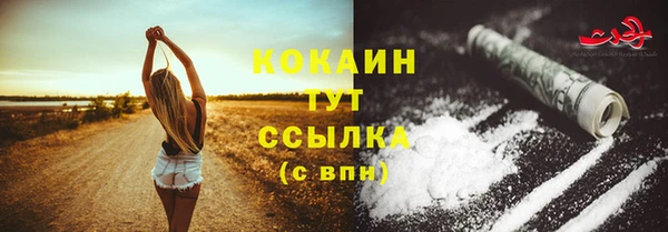 экстази Дмитриев