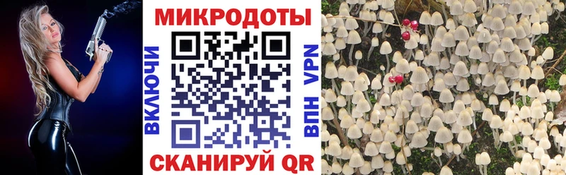 Купить где  Светлоград  Псилоцибиновые грибы мицелий 